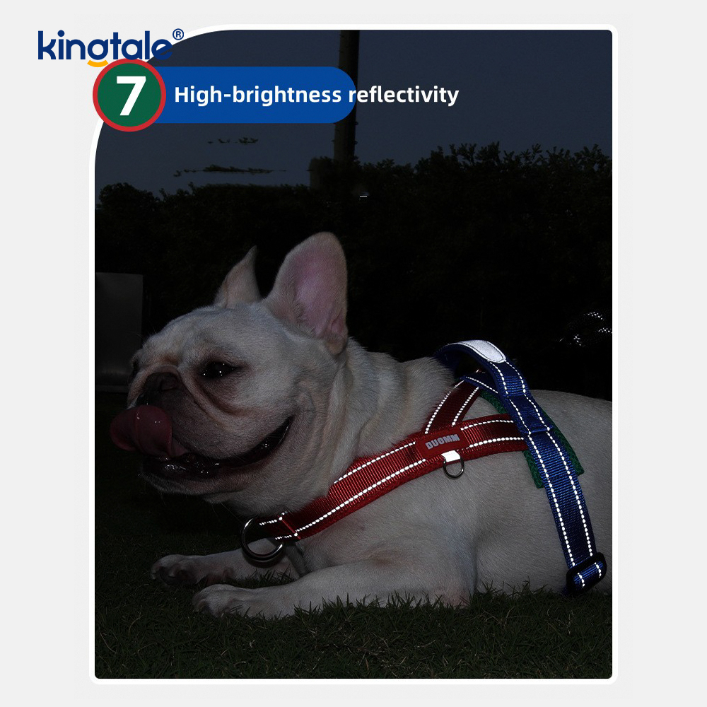 Anpassad grossist justerbar nylon reflekterande hund sele minst set