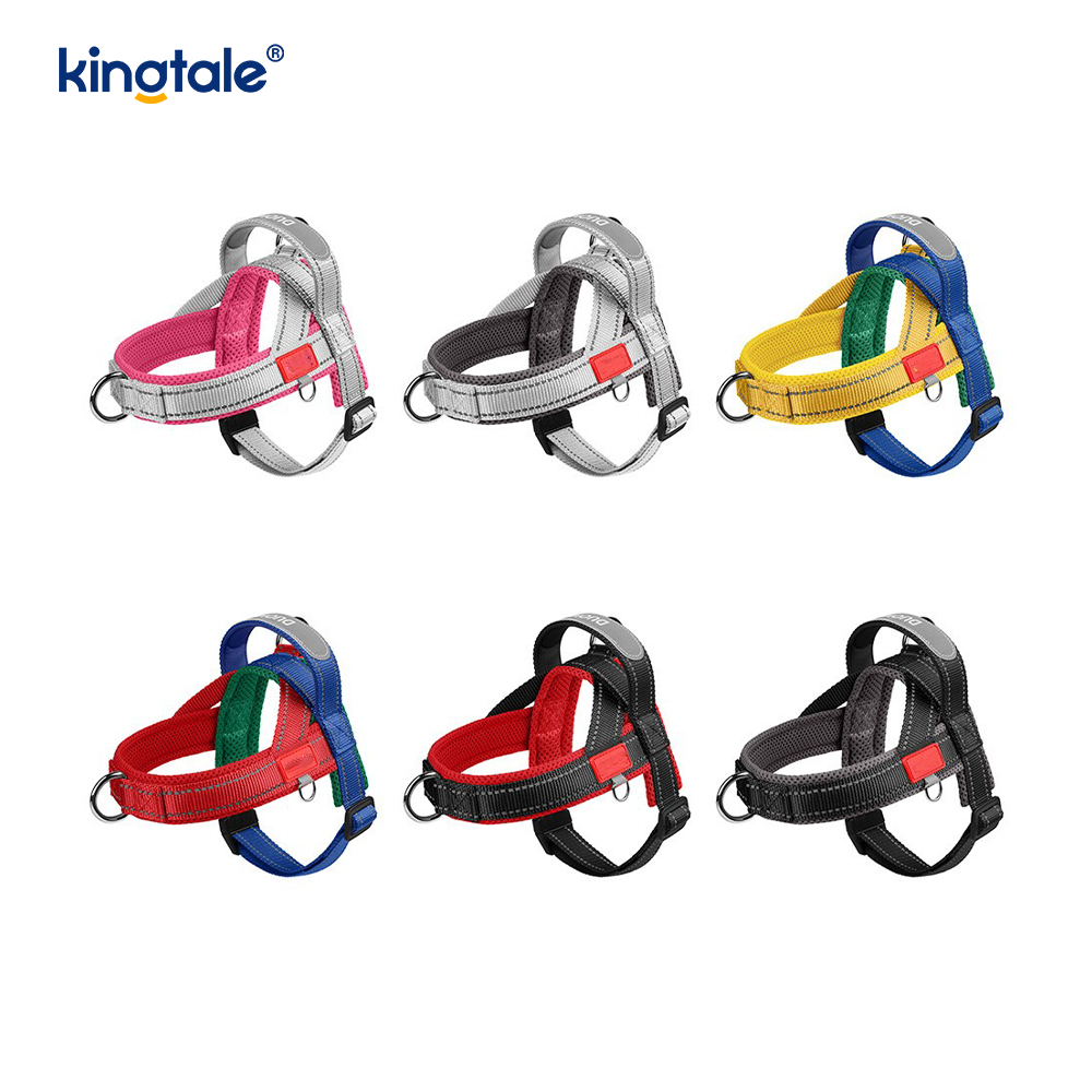 Anpassad grossist justerbar nylon reflekterande hund sele minst set
