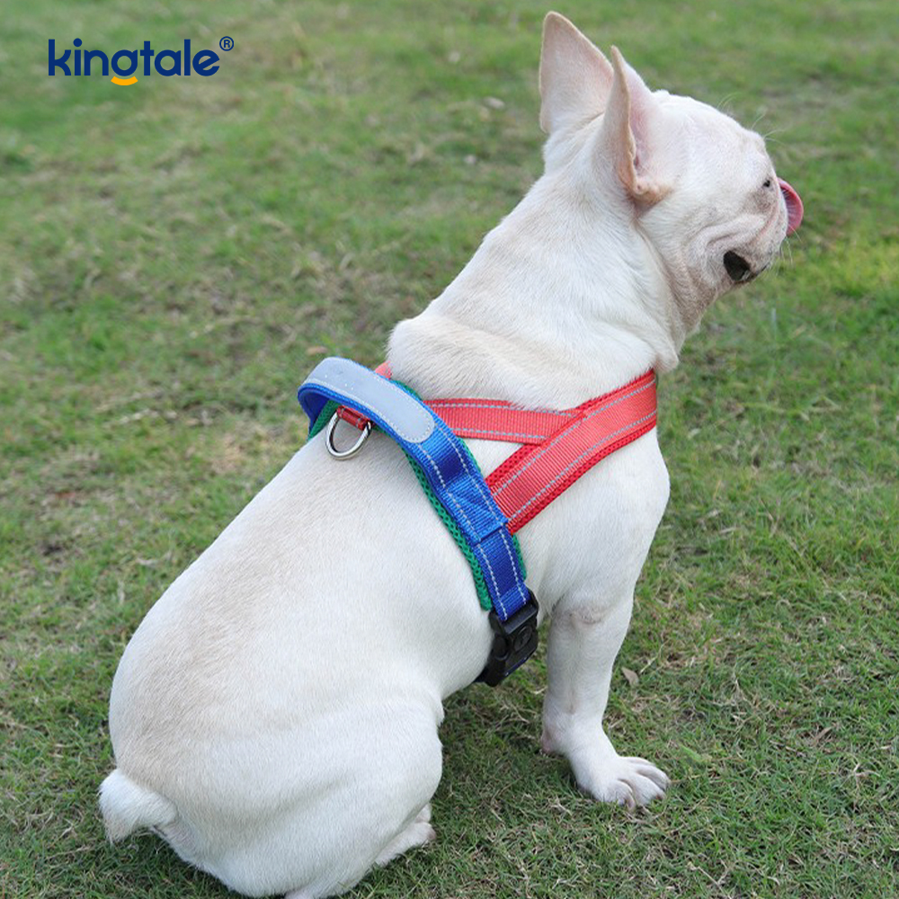 Anpassad grossist justerbar nylon reflekterande hund sele minst set