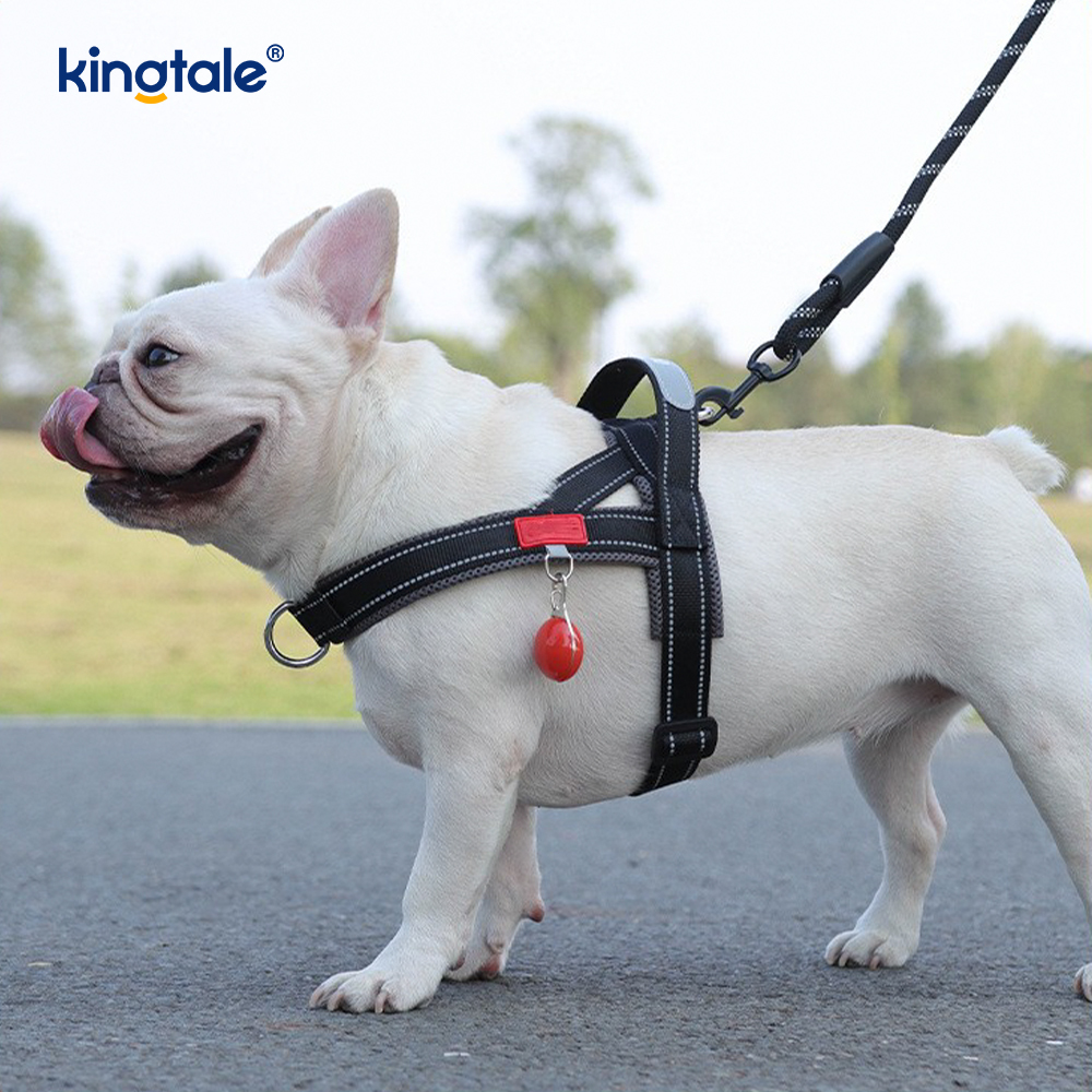 Anpassad grossist justerbar nylon reflekterande hund sele minst set