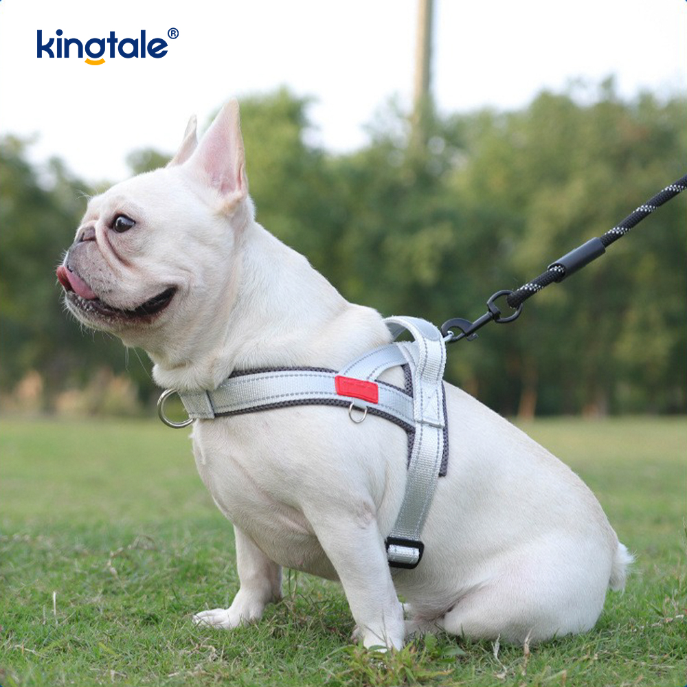 Anpassad grossist justerbar nylon reflekterande hund sele minst set
