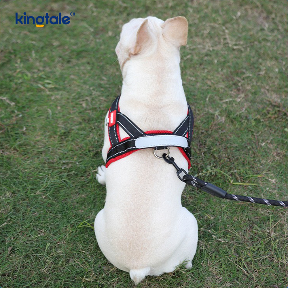 Anpassad grossist justerbar nylon reflekterande hund sele minst set