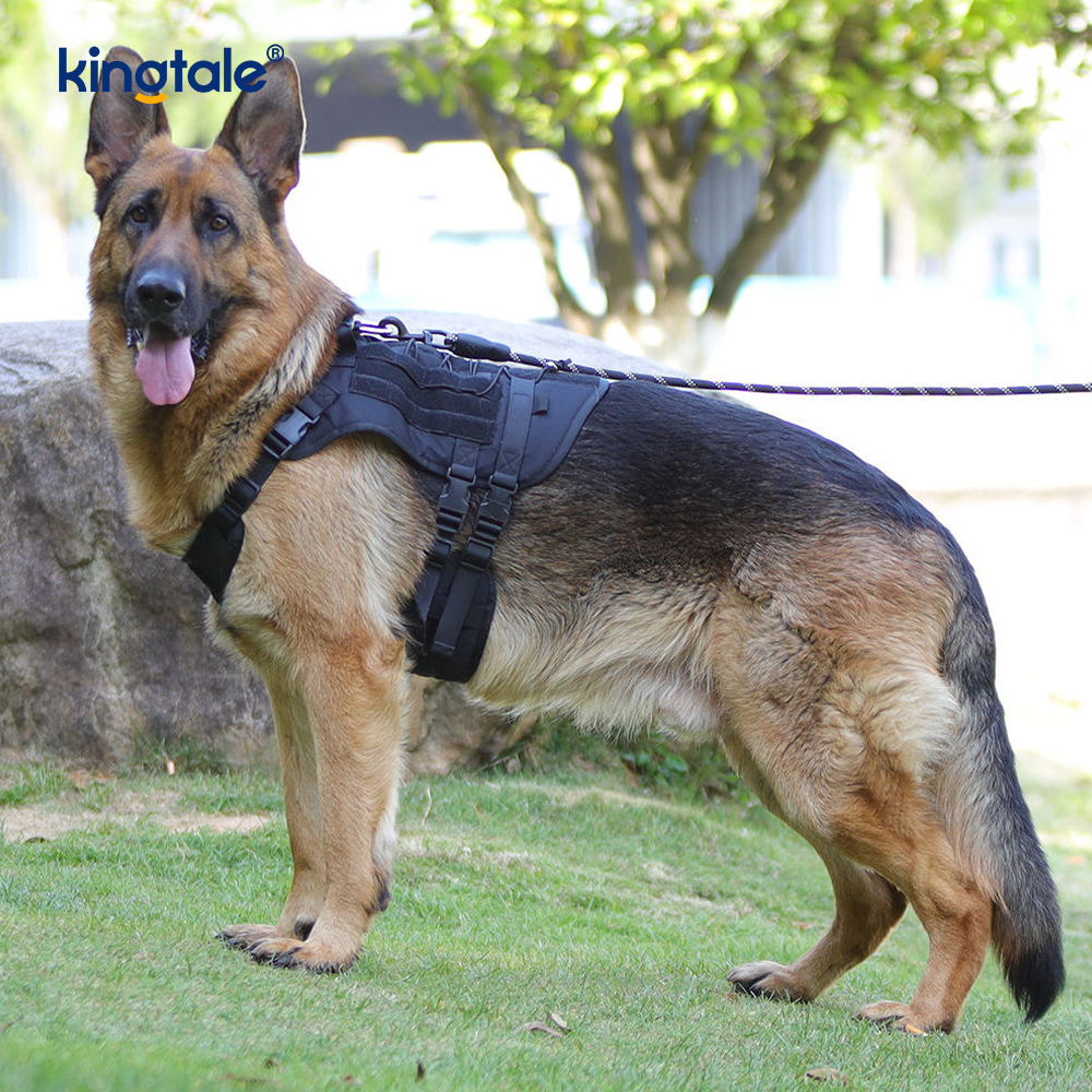 Skräddarsydd Heavy Duty Large Vest Mesh Andningsbar justerbar hundsele