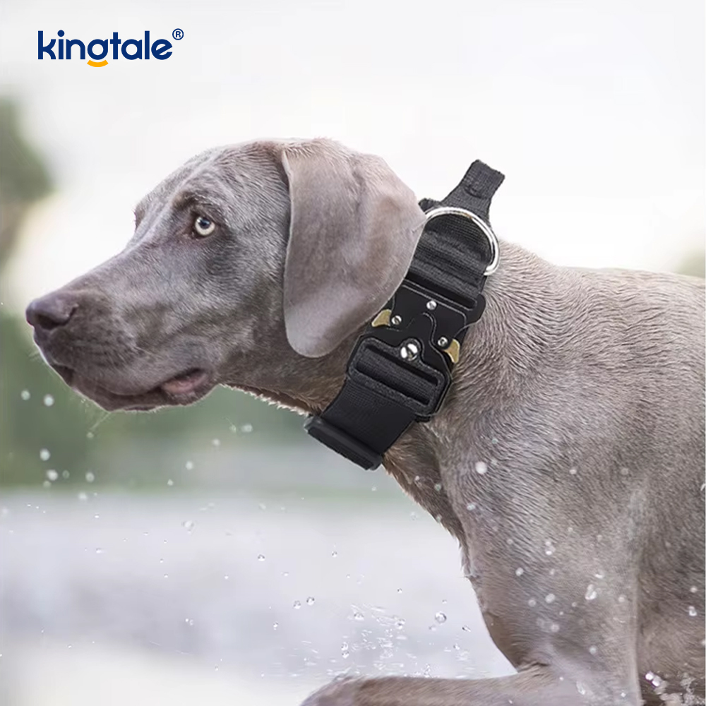 Heavy Duty Taktisk hundhalsband koppelset för stora hundar