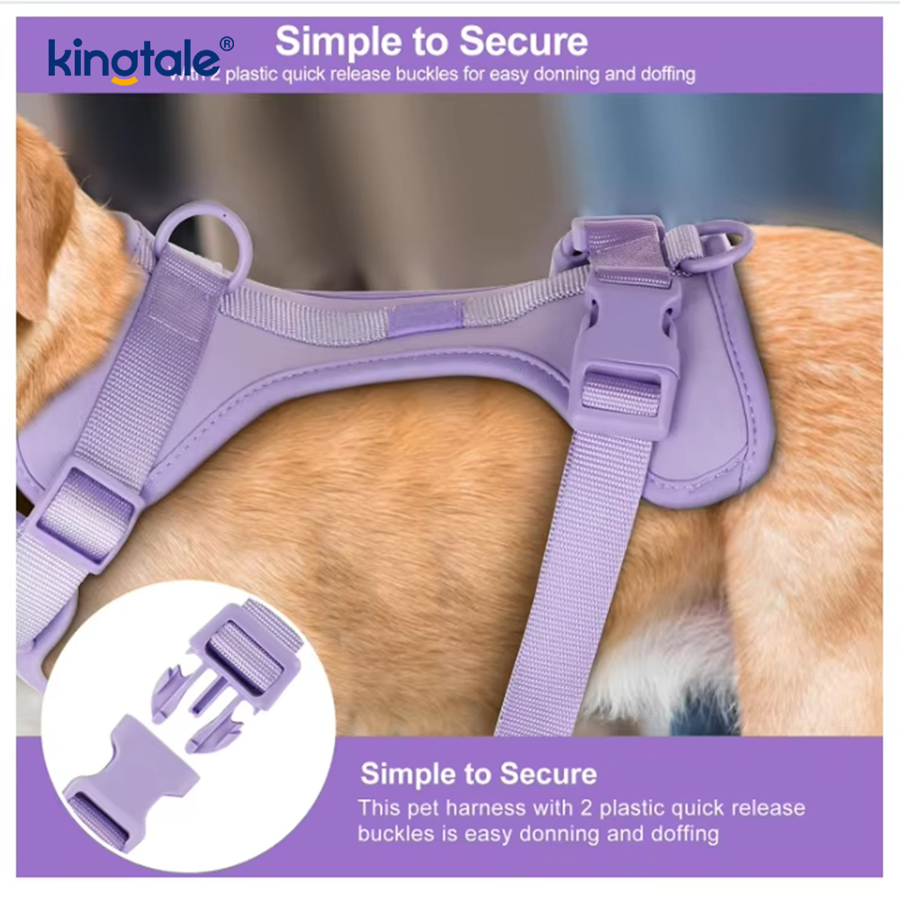 Anpassad moderiktig lätt vattentät pvc hundsele koppelhalsband