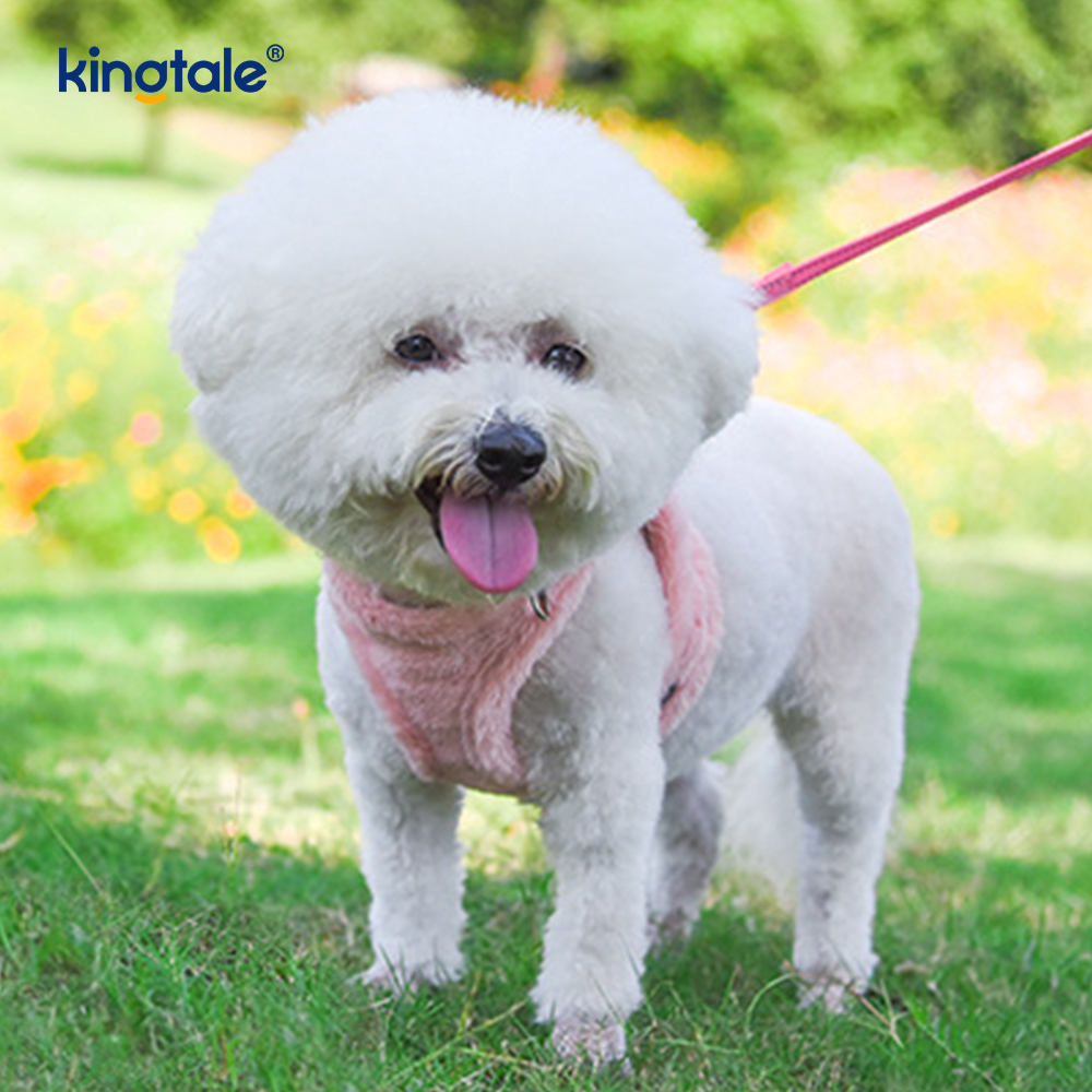 Plysch hundsele för sällskapsdjur Koppel Set Höst Walking Dogs Sele Väst