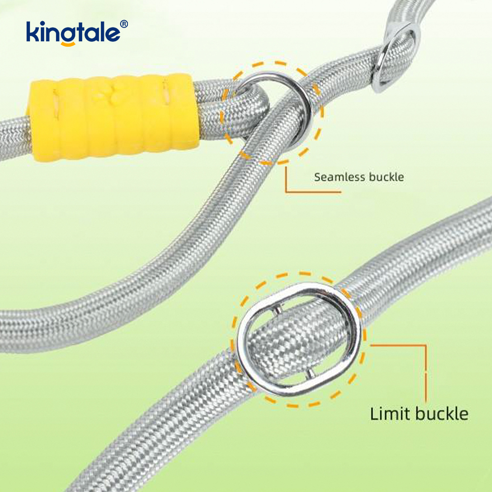 No Pull Hållbar Justerbar Nylon Dubbla Handtag Färgglada Dog Slip koppel