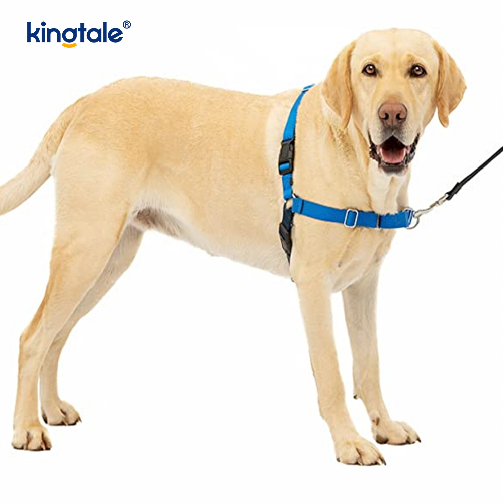 No-Pull hundsele Hjälp att sluta dra Ta kontroll och lär dig koppelsätt