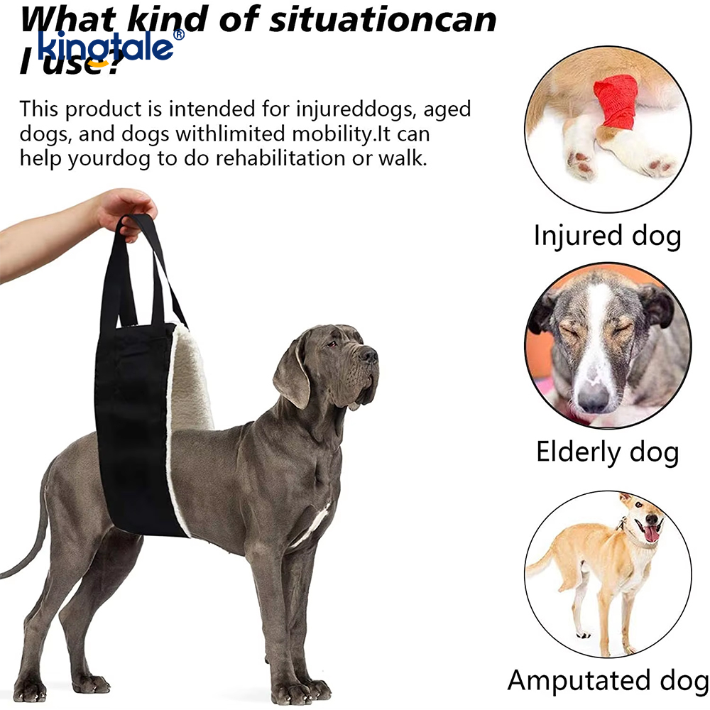 Anpassad bärbar hundsele Solid Hållbar hundlyftssele för husdjur