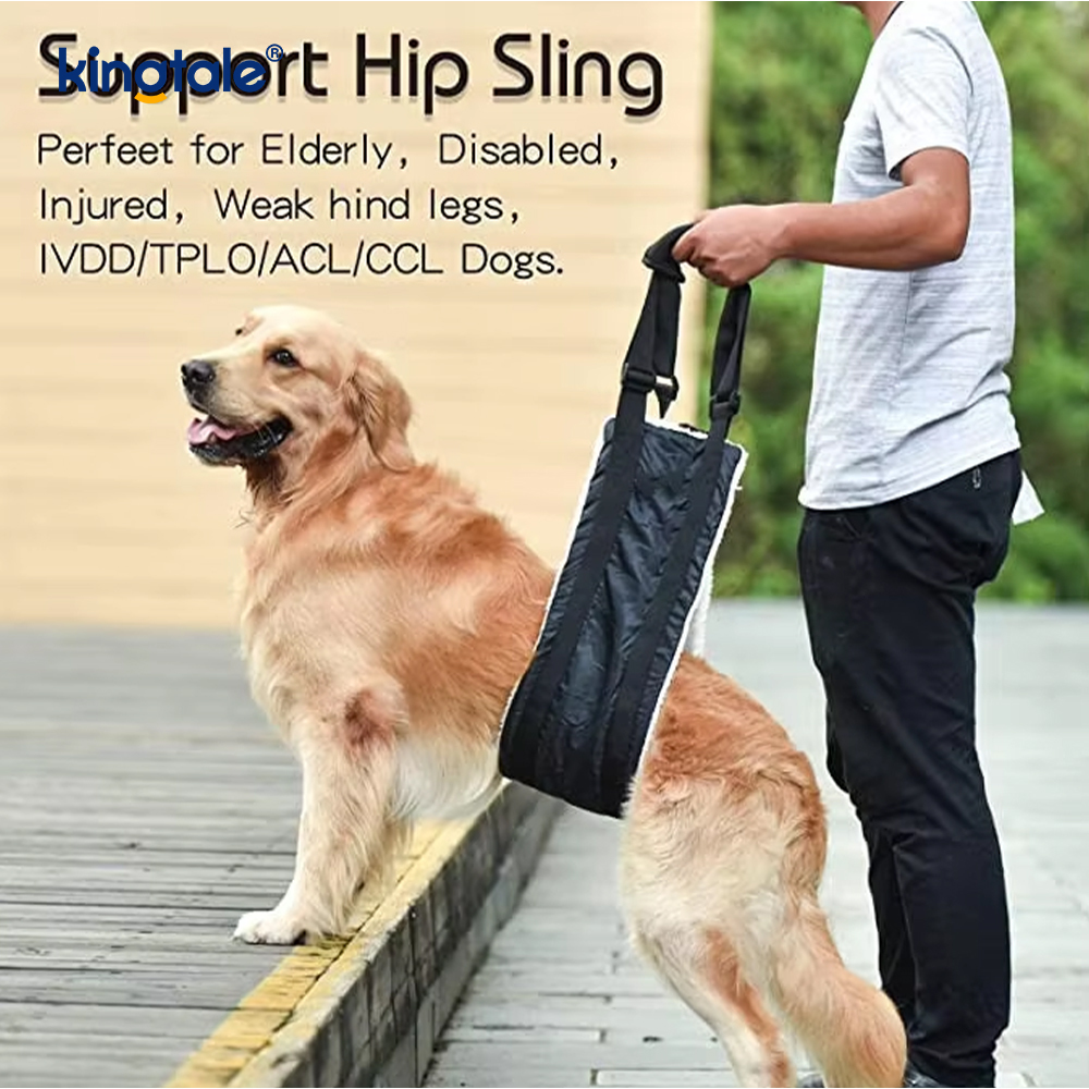 Anpassad bärbar hundsele Solid Hållbar hundlyftssele för husdjur