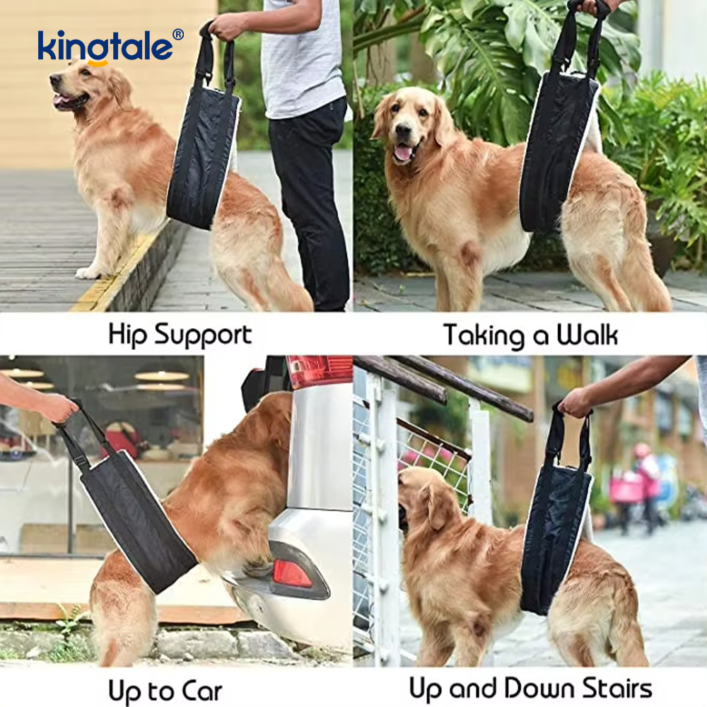 Anpassad bärbar hundsele Solid Hållbar hundlyftssele för husdjur