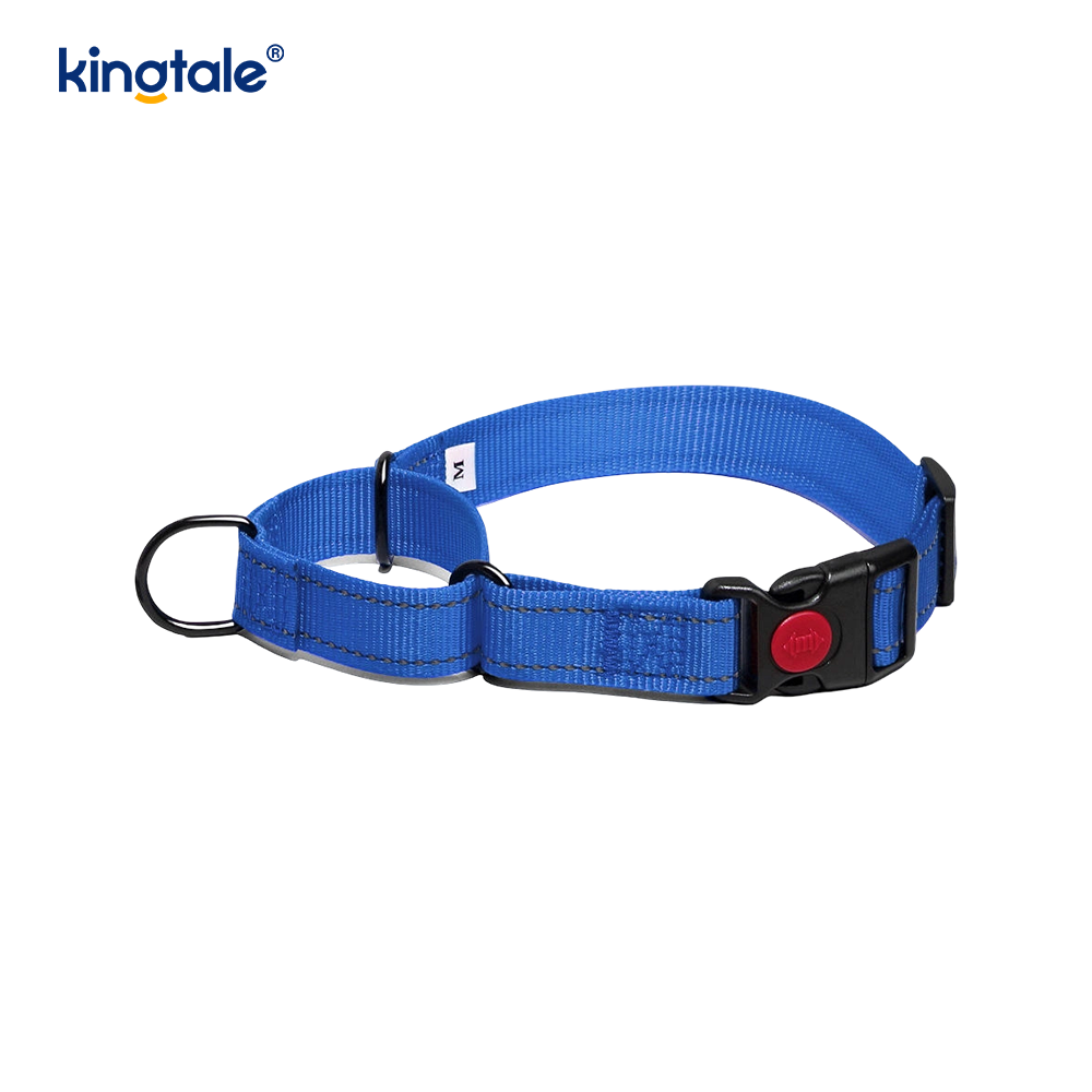 Quick Release No Pull Reflekterande Justerbar Nylon Martingale Hundhalsband