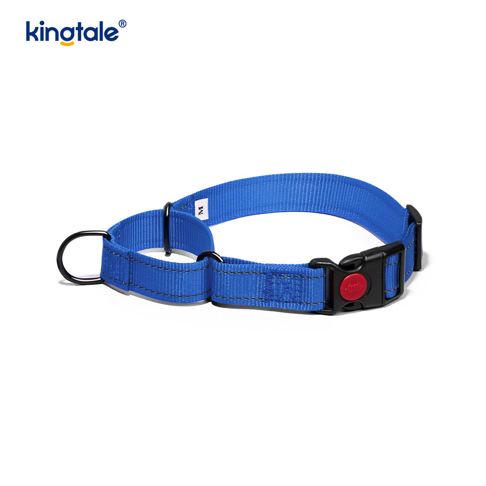 Quick Release No Pull Reflekterande Justerbar Nylon Martingale Hundhalsband