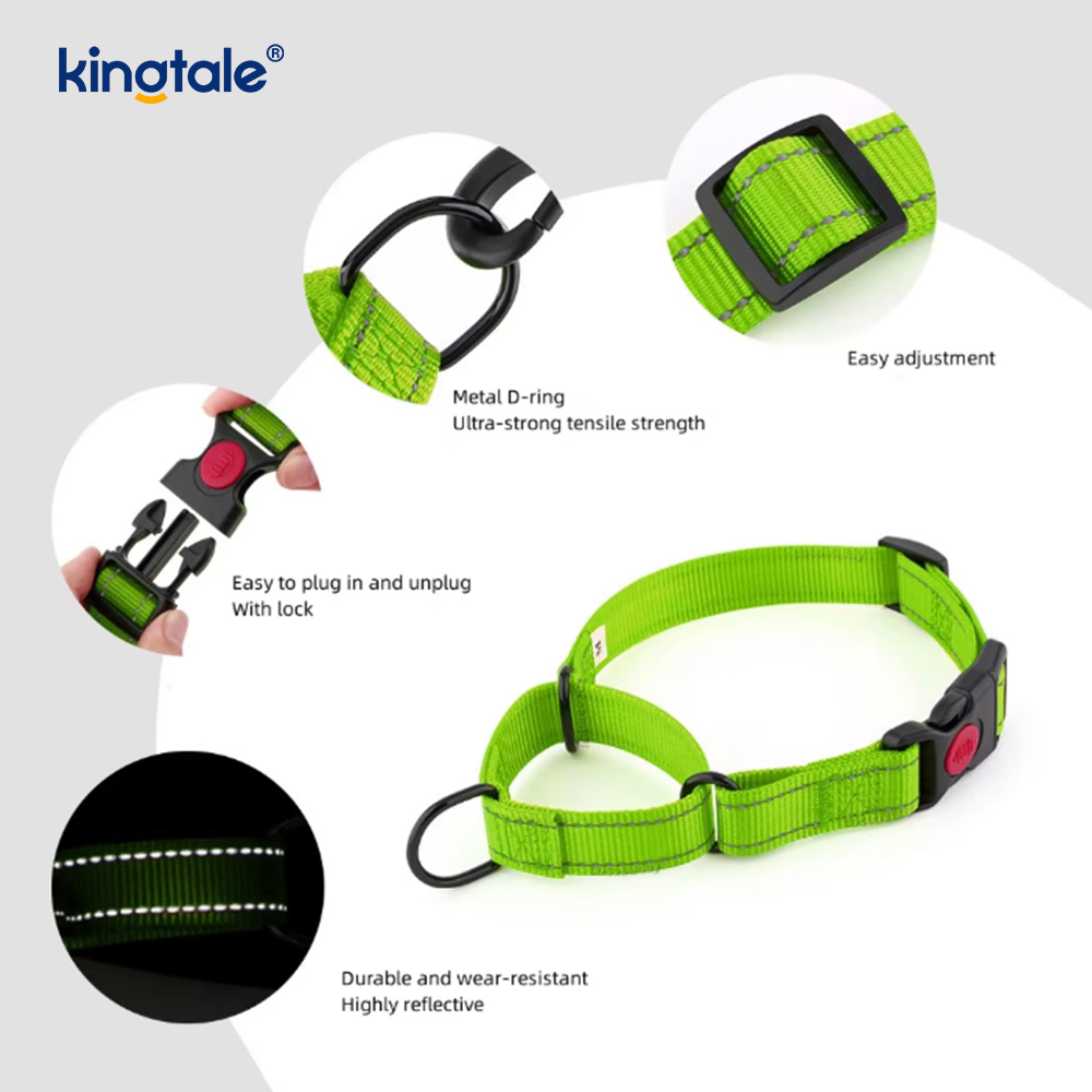 Quick Release No Pull Reflekterande Justerbar Nylon Martingale Hundhalsband