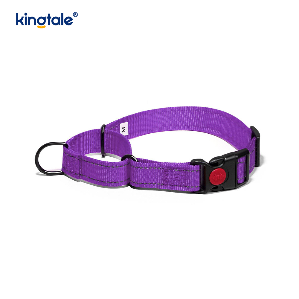 Quick Release No Pull Reflekterande Justerbar Nylon Martingale Hundhalsband