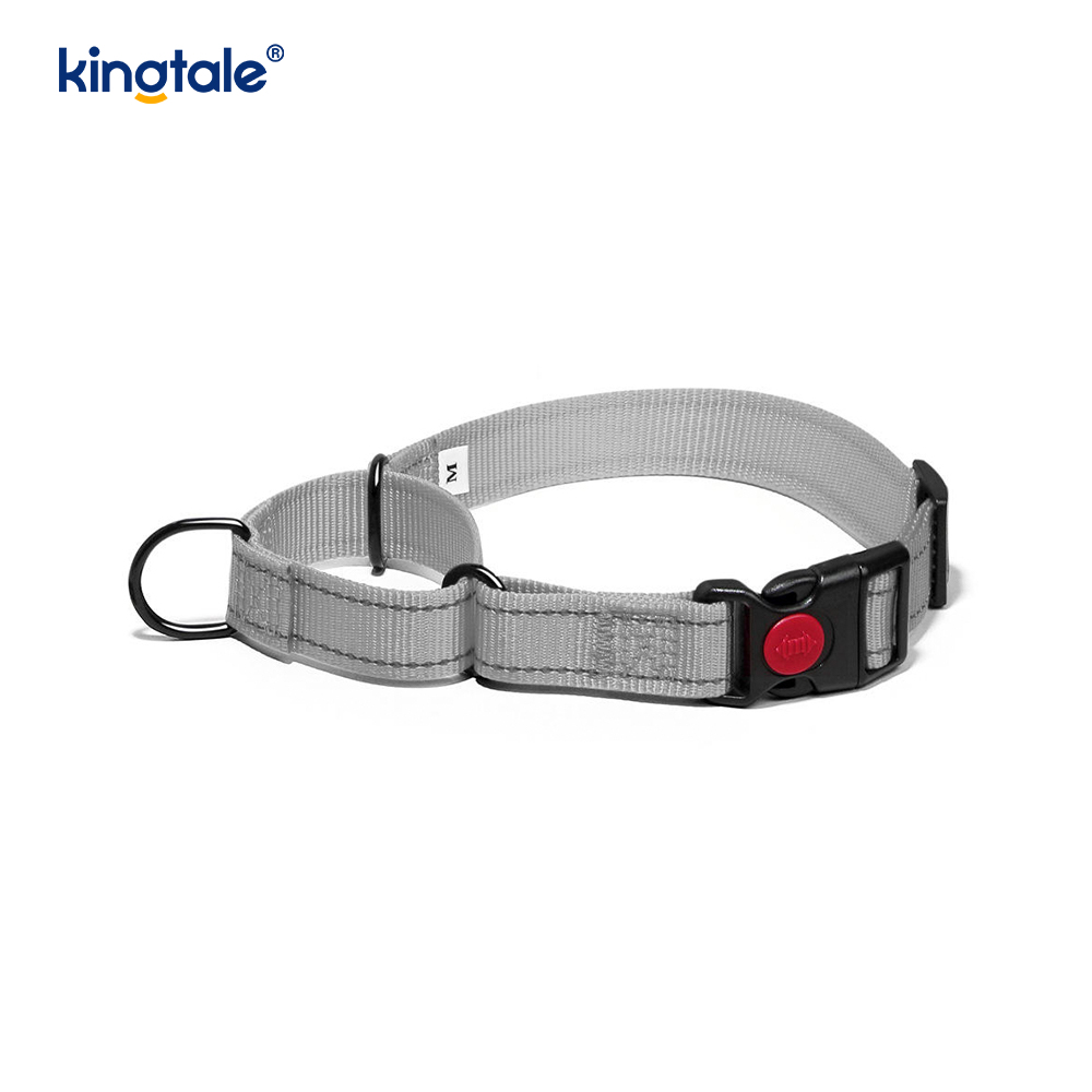 Quick Release No Pull Reflekterande Justerbar Nylon Martingale Hundhalsband