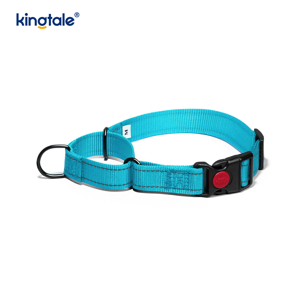 Quick Release No Pull Reflekterande Justerbar Nylon Martingale Hundhalsband