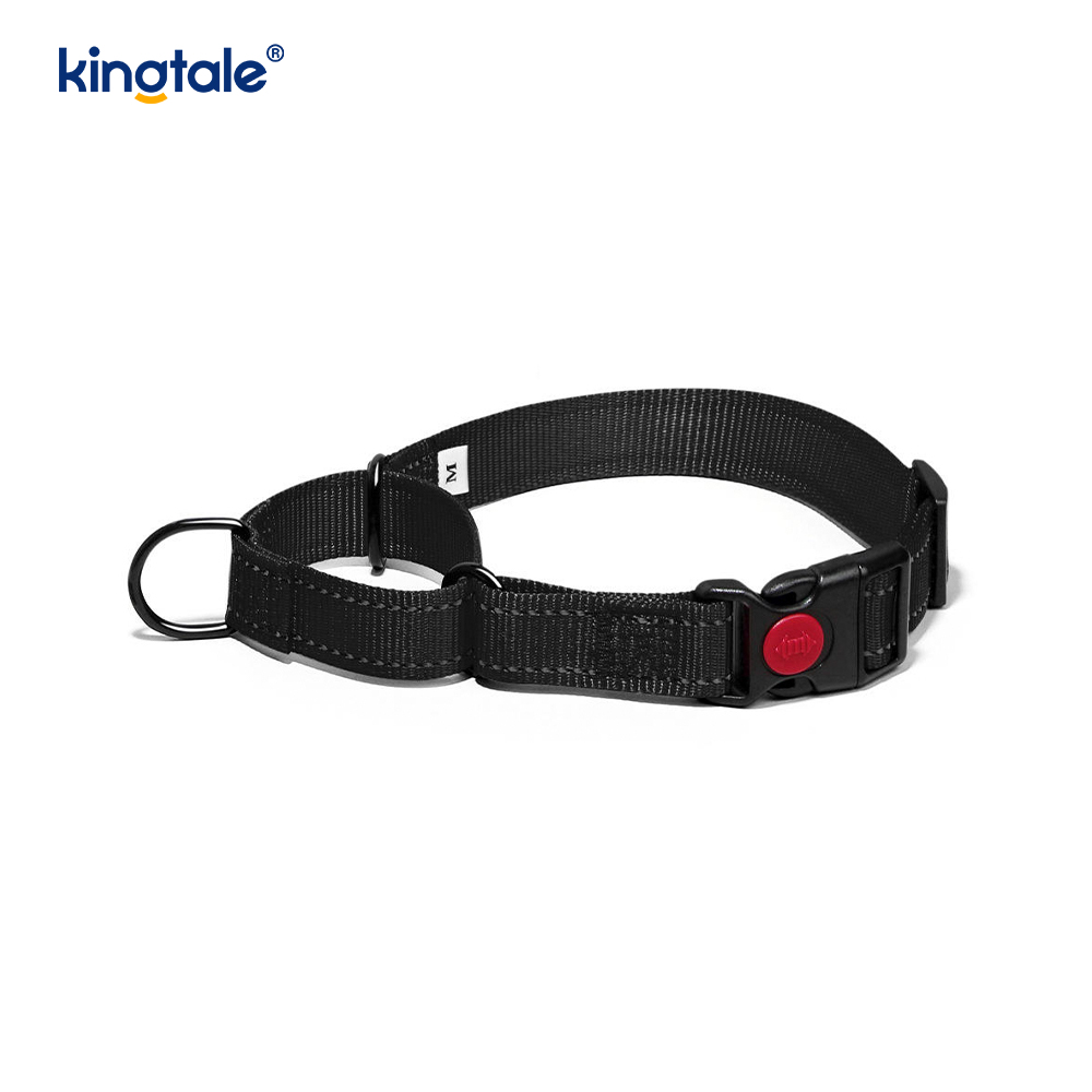Quick Release No Pull Reflekterande Justerbar Nylon Martingale Hundhalsband