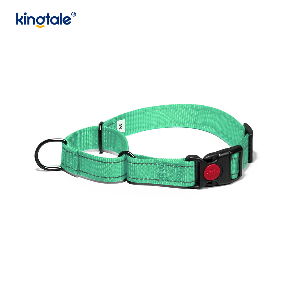 Quick Release No Pull Reflekterande Justerbar Nylon Martingale Hundhalsband