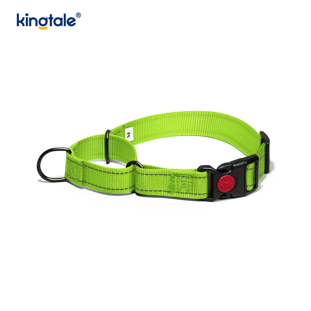 Quick Release No Pull Reflekterande Justerbar Nylon Martingale Hundhalsband