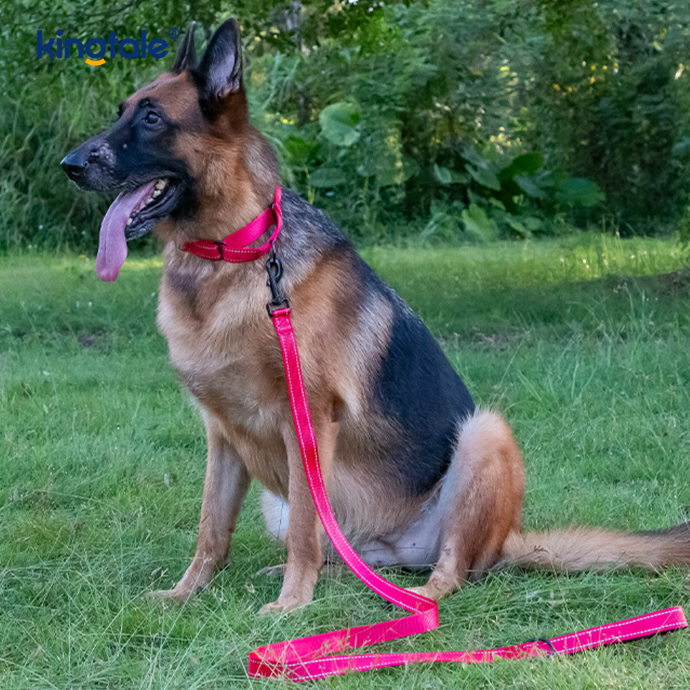 Quick Release No Pull Reflekterande Justerbar Nylon Martingale Hundhalsband