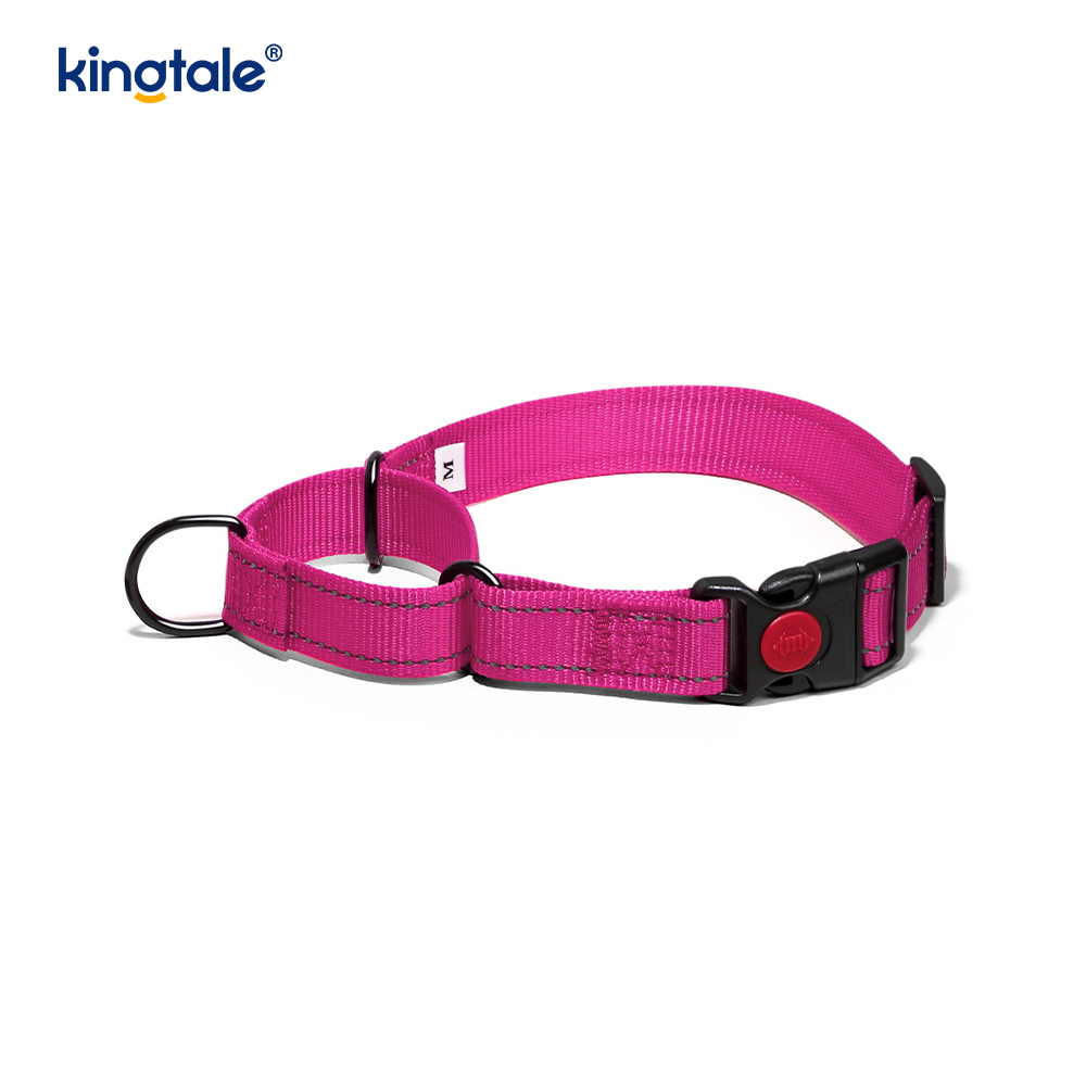 Quick Release No Pull Reflekterande Justerbar Nylon Martingale Hundhalsband