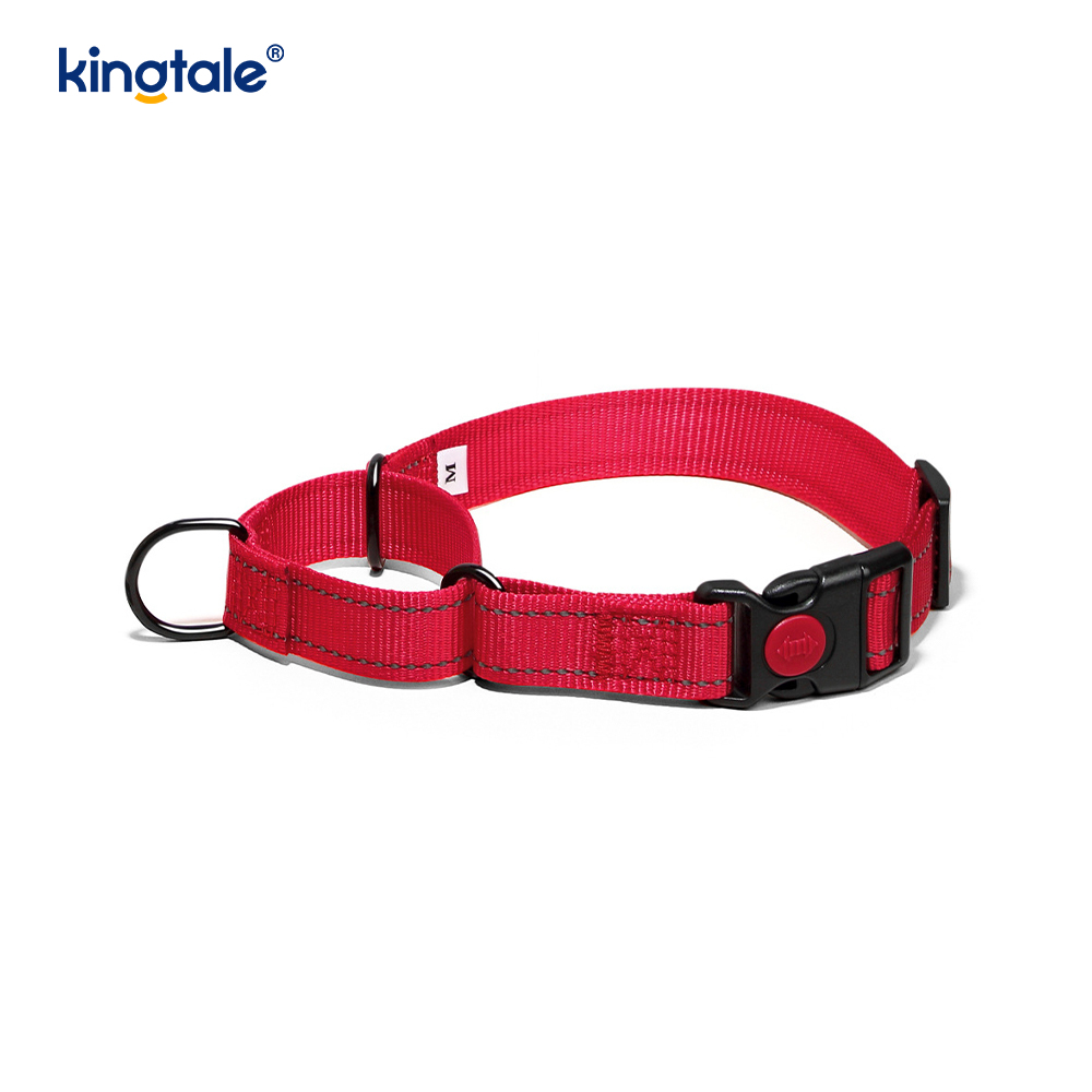 Quick Release No Pull Reflekterande Justerbar Nylon Martingale Hundhalsband