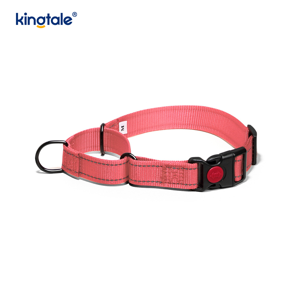 Quick Release No Pull Reflekterande Justerbar Nylon Martingale Hundhalsband