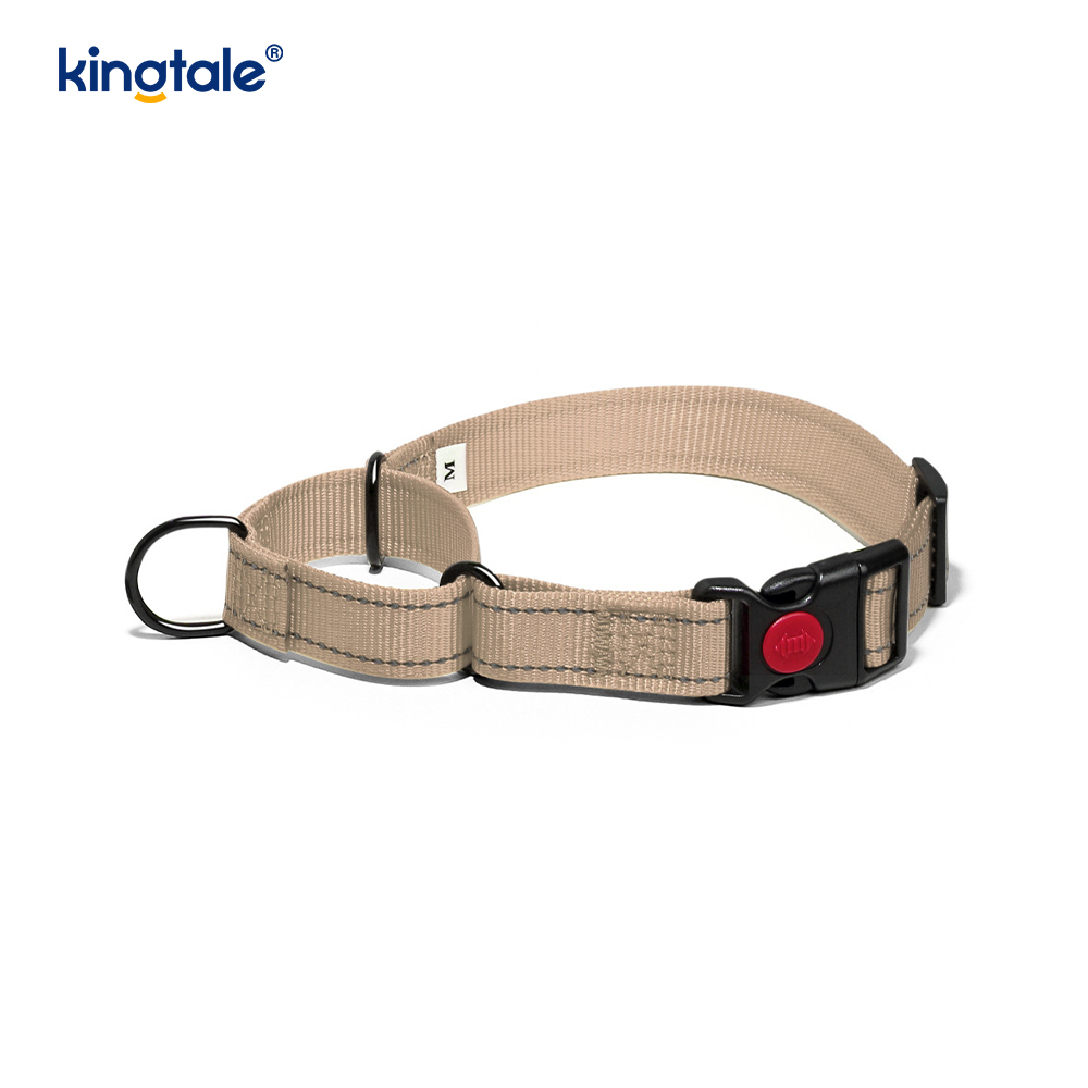Quick Release No Pull Reflekterande Justerbar Nylon Martingale Hundhalsband