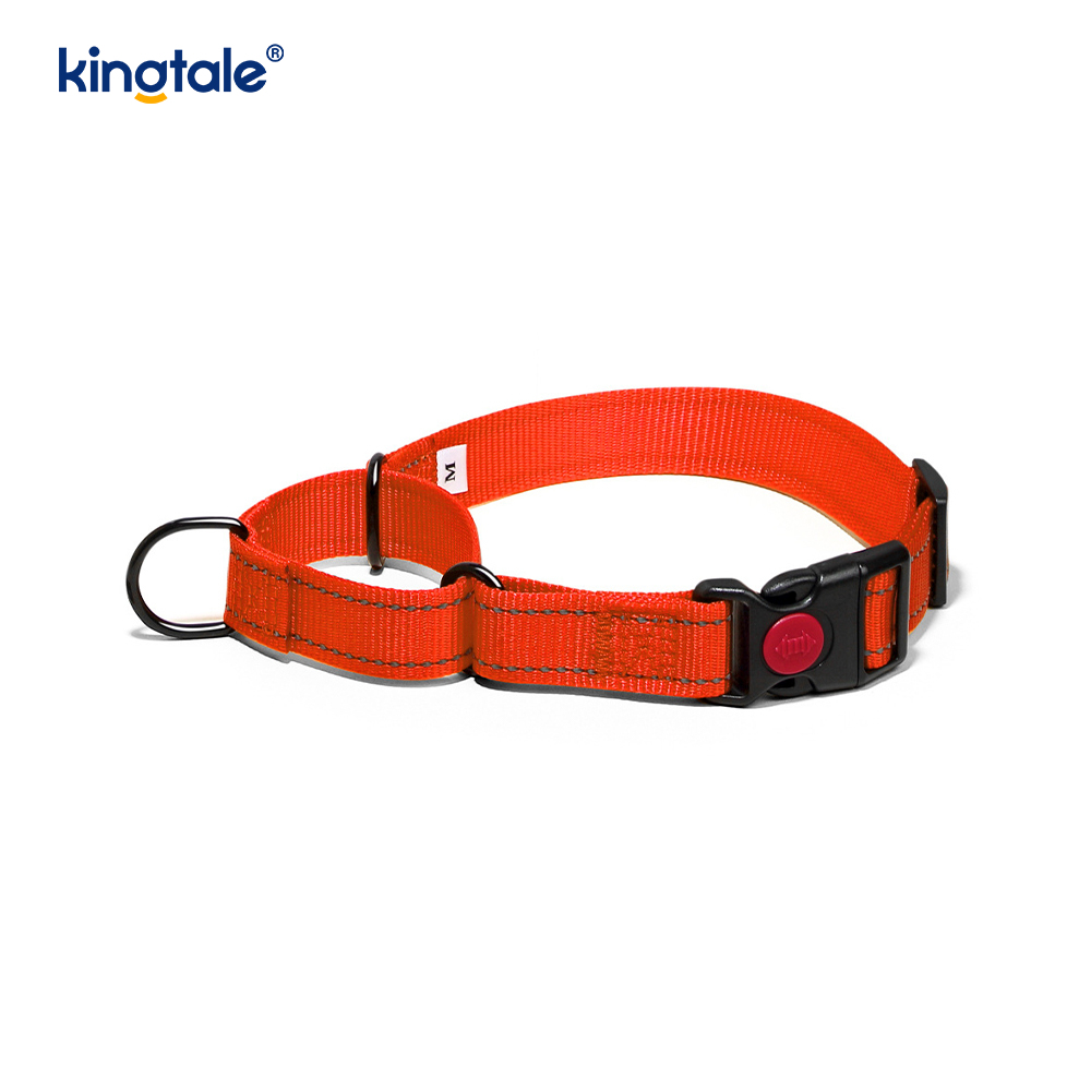 Quick Release No Pull Reflekterande Justerbar Nylon Martingale Hundhalsband