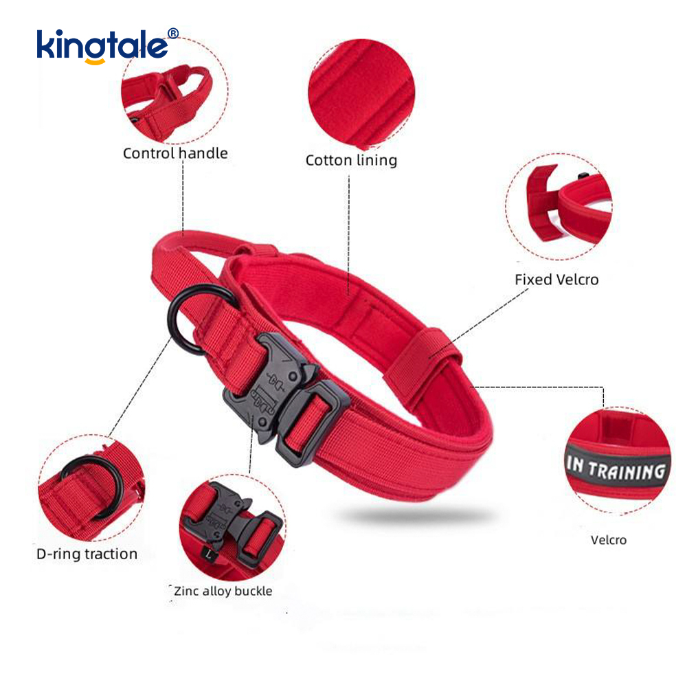 CutsomTraining nylon kontrollhandtag metall spänne krage