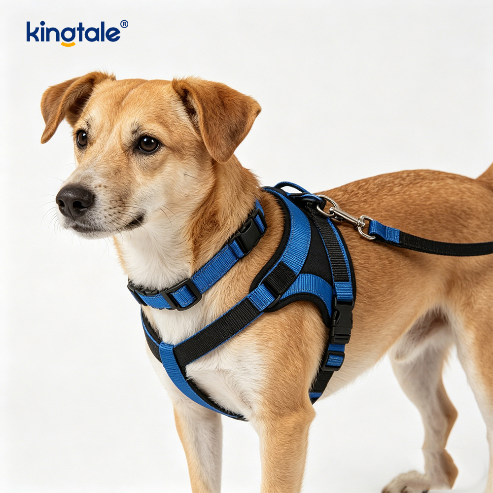 Reflekterande Crossbody Hands Free Hundkoppel Pet Halsband