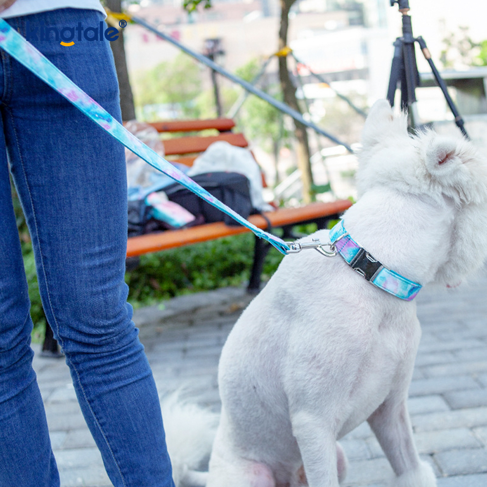 Drömmande Starry Sky Pet Halsband Amazon-stil hundhalsband koppel