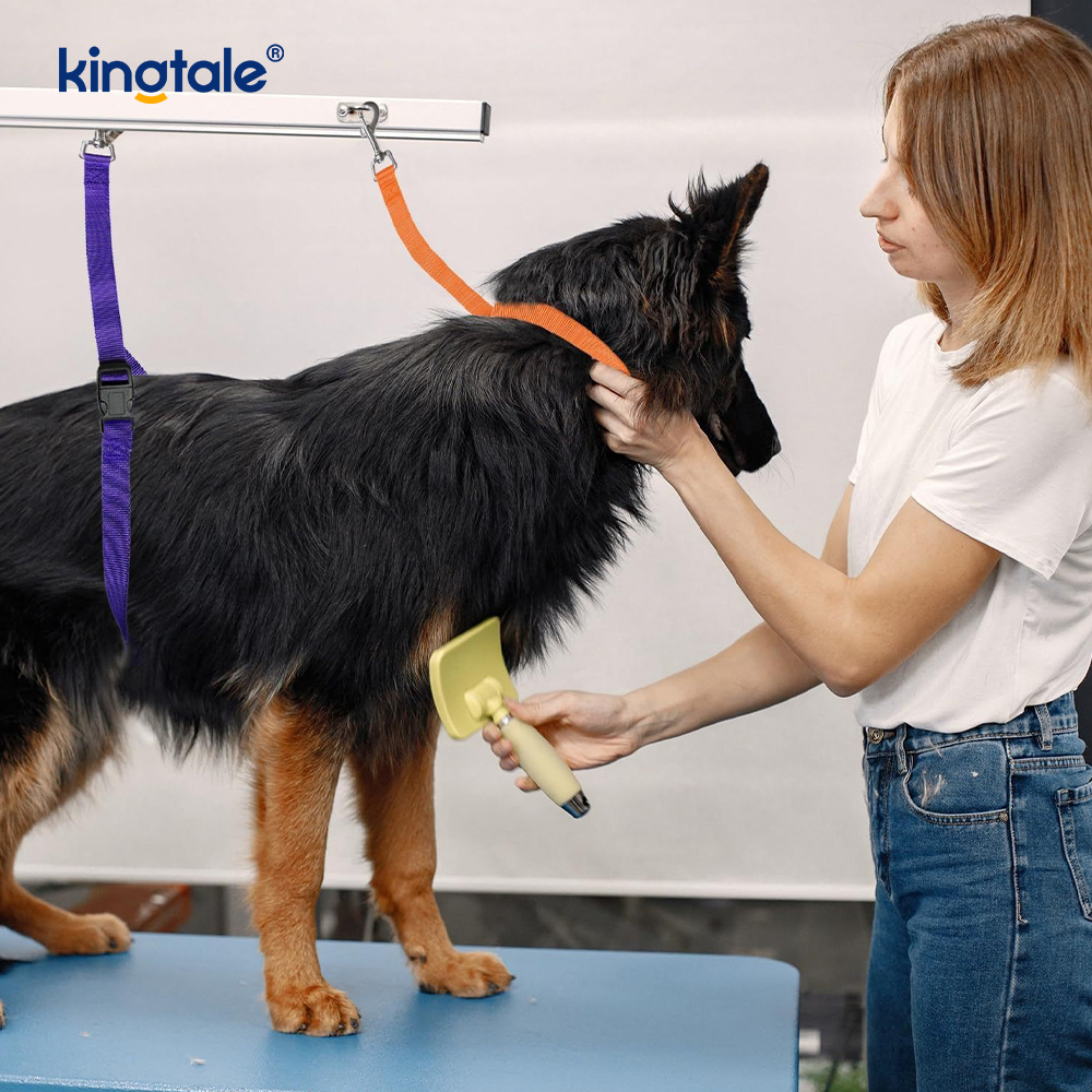 Partihandel Pet Grooming Restraint Leash Justerbar säkerhetsrem