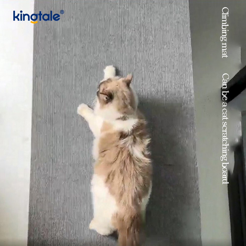 Cat Scratching Självhäftande matta för ersättningsdynor Möbelskydd