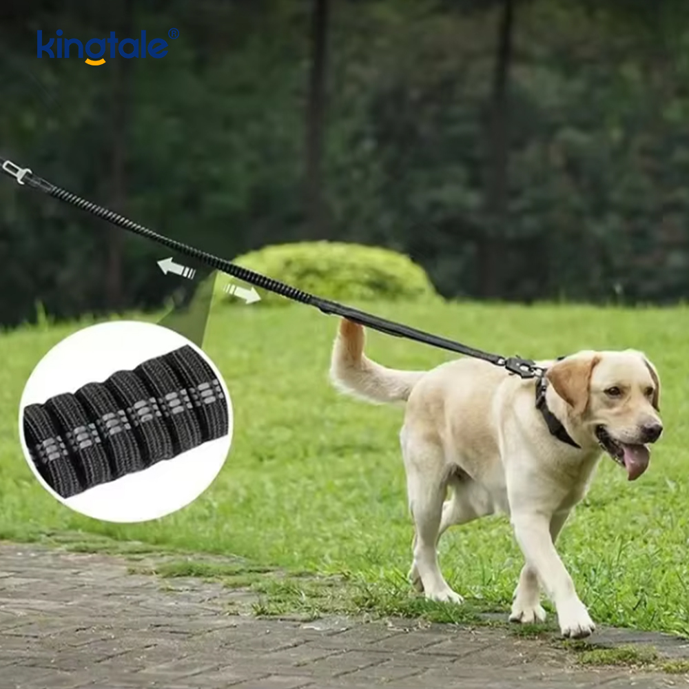 Reflekterande nylon säkerhetskoppel Elastisk buffert Solid hundbilbarnstol