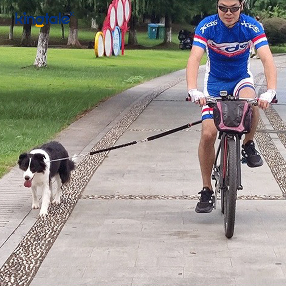Cykel hundkoppel tillbehör Handsfree cykling hund dragrep
