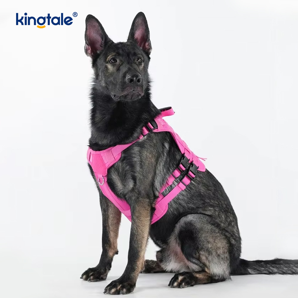 Katt & Hund Ryggsäck Axel/Handväska Bärsele
