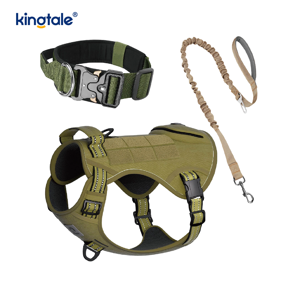 Training Nylon No Pull Hundhalsband koppel Sele Set med kontroll