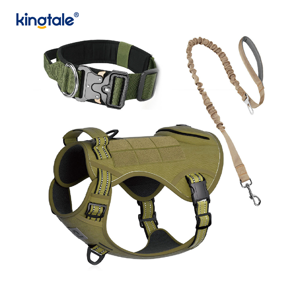 Training Nylon No Pull Hundhalsband koppel Sele Set med kontroll