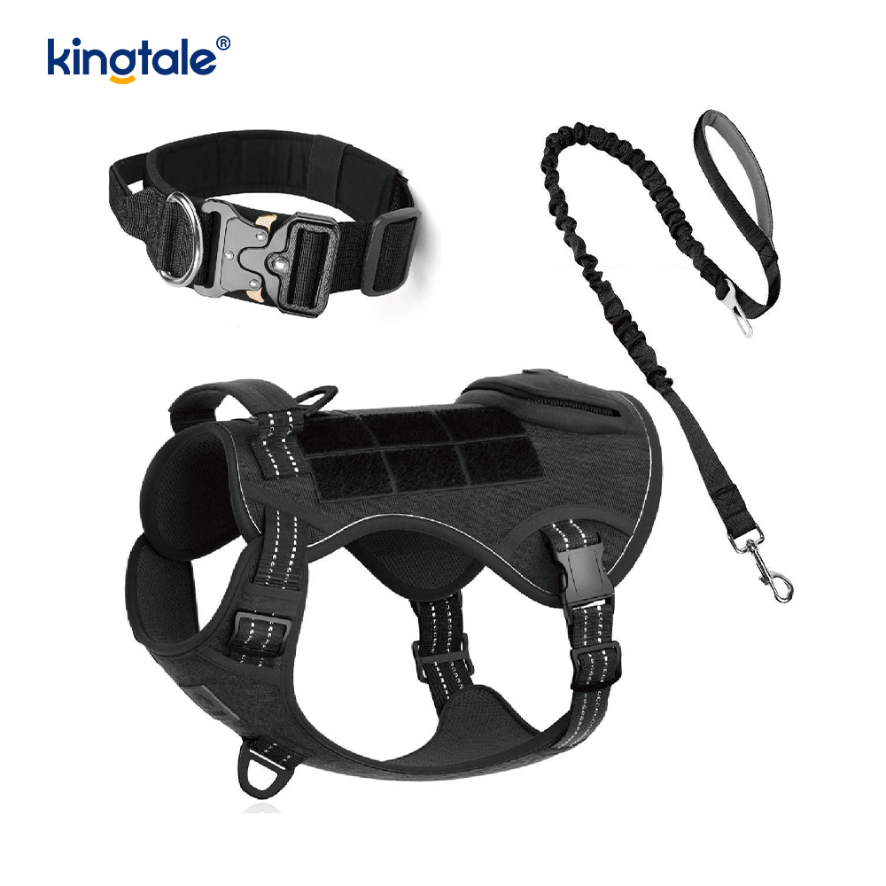 Training Nylon No Pull Hundhalsband koppel Sele Set med kontroll