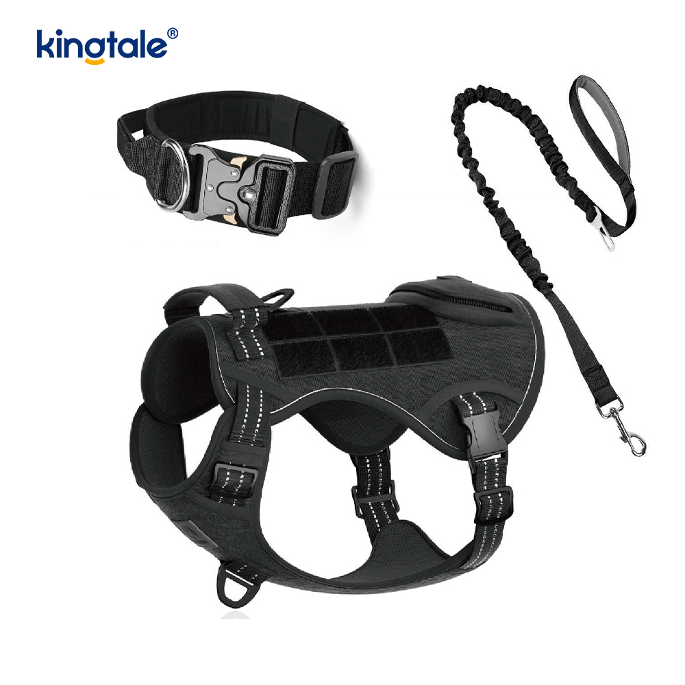 Training Nylon No Pull Hundhalsband koppel Sele Set med kontroll
