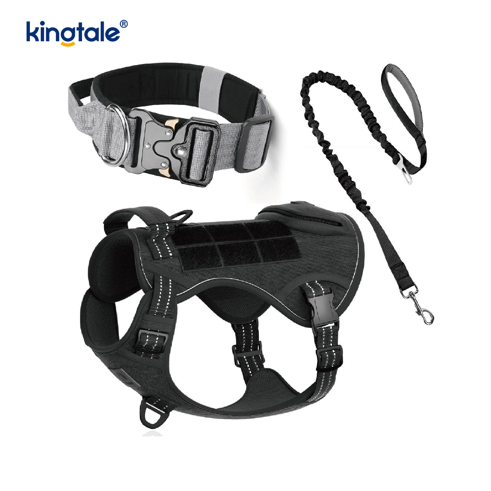 Training Nylon No Pull Hundhalsband koppel Sele Set med kontroll