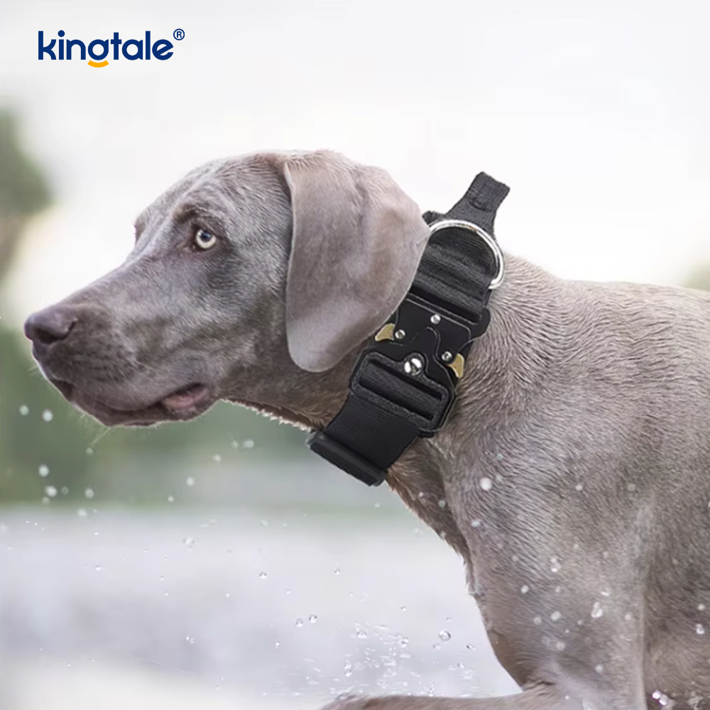Training Nylon No Pull Hundhalsband koppel Sele Set med kontroll