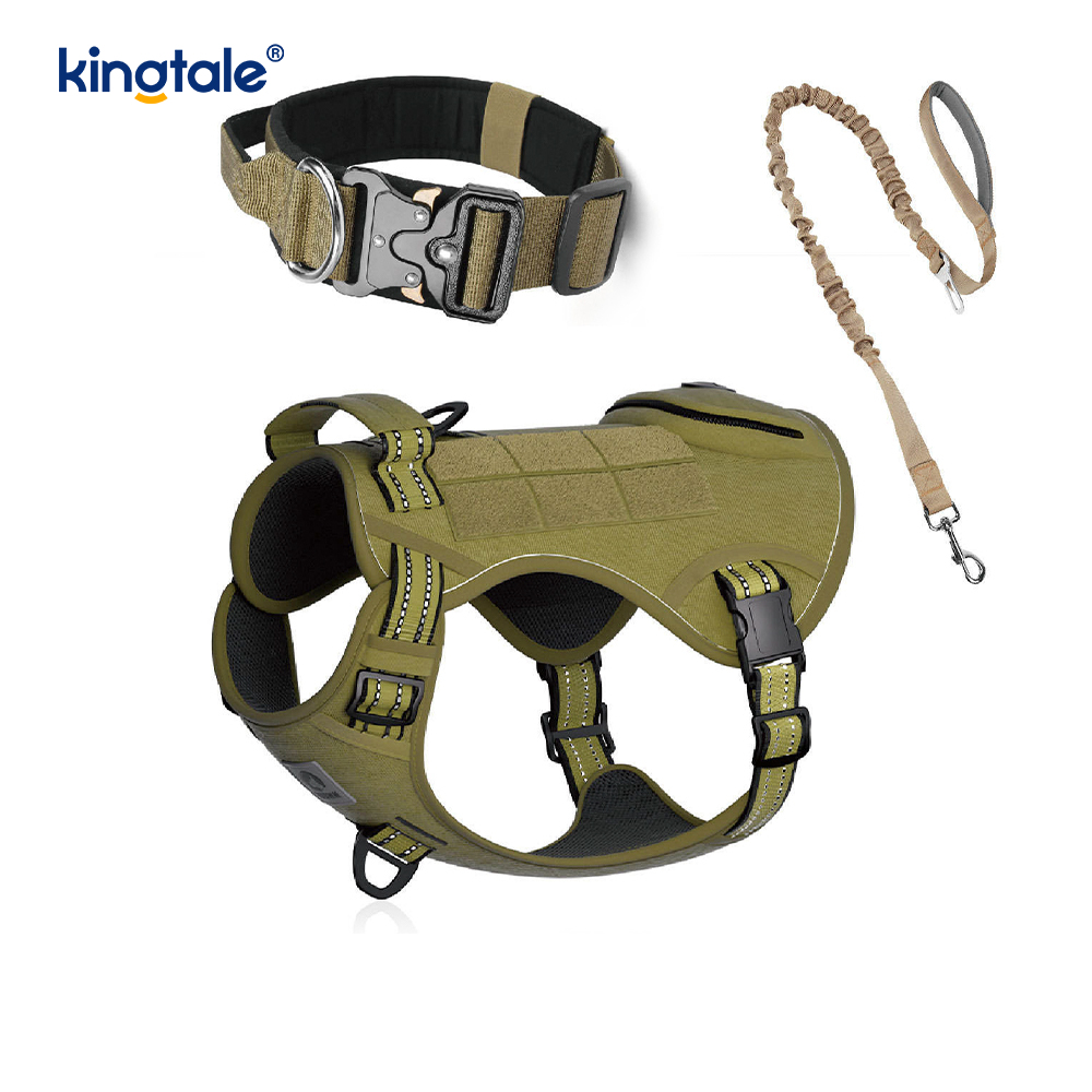 Training Nylon No Pull Hundhalsband koppel Sele Set med kontroll